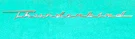 1961 1962 Ford Thunderbird Convertible Orig Front Fender Script Emblem Ornament. Fixed Price $99.00.