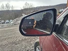 2012 Cadillac Srx Driver Side Mirror Oem Power Folding Red 3936302 Used. Fixed Price $100.89.