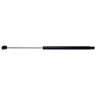 Back Glass Lift Support Strong Arm 4356. Fixed Price $31.37.