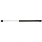 Hood Lift Support Strong Arm 6325. Fixed Price $54.99.