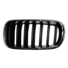 Left Driver Side Grille For Bmw X5 2014-2018 51137294485 BM1200268. Fixed Price $61.50.
