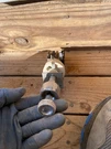 1964? Ford Thunderbird Headlight Lamp Switch & Knob Untested Sold As Is. Fixed Price $75.00.