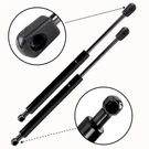 2X Rear Trunk Lift Support Gas Shocks 2010-2017 Ford Taurus PM1129. Fixed Price $14.67.