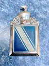 1977 Buick Regal Trunk Lock Cover Emblem 1728899 12816-1 Vitrolux Knight Logo Vg. Fixed Price $36.50.