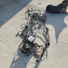 2000 2001 Ford F350 F250 Lariat 6.8L V10 Triton Auto 4X4 Engine Bay Wire Harness. Fixed Price $312.08.