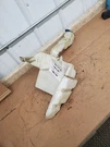 Reservoir Without Headlamp Washers Sedan Fits 03-05 Passat 293314. Fixed Price $23.00.