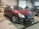 Driver Side View Mirror Power Heated Manual Folding Fits 04-08 Maxima 2239593. Fixed Price $77.90.