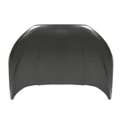 New Hood Panel Direct Replacement Fits 2018-2022 Ford Ecosport. Fixed Price $786.96.