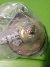 New Horn For Saab 35717. Fixed Price $60.00.