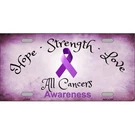 Smart Blonde LP-8300 Cancer Awareness Novelty Metal License Plate. Fixed Price $16.84.