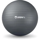 Nwt Urbnfit Exercise Ball With Quick Pump, 22-INCH, Silver. Fixed Price $14.40.
