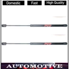 Ford F-150 2005 2006 2007 2008 Hood Lift Support Focus Auto Parts. Fixed Price $51.01.
