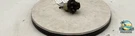 1965-1989 Porsche 911 912 930 Carrera Headlamp Switch 90161321200. Fixed Price $225.00.