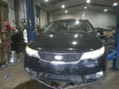 Driver Left Quarter Panel Sedan Fits 10-13 Forte 115027. Fixed Price $200.00.