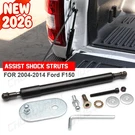 DZ43200 Tailgate Assist Lift Support Shock Struts Fit Ford F150 2004-2010-2014. Fixed Price $27.99.