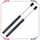 2X Rear Lh & Rh Trunk Lift Supports Struts Shocks For 1999-2005 Buick Century. Fixed Price $13.21.