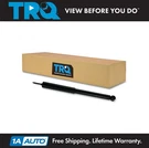 Trq Rear Shock Absorber Strut Lh Rh Amc Ford Gm Mazda Nissan Toyota. Fixed Price $49.95.