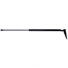 Tailgate Lift Support Strong Arm 6222R. Fixed Price $28.95.