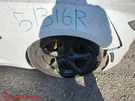 Rh Front Inner Fender Oem 2019 Chevrolet Camaro. Fixed Price $65.00.