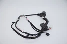 2020-2025 Nissan Sentra Rear Right Side Door Wire Wiring Harness 24126-6LB0A Oem. Fixed Price $55.99.