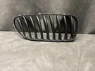 Bmw E85 E86 Z4 Front Right Passenger Hood Bumper Kidney Grille Trim Oem. Fixed Price $45.00.
