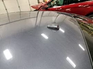 2015 Legacy Antenna SKU#4332836. Fixed Price $67.00.