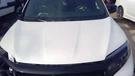 Hood Fits 16-22 Pilot 364929. Fixed Price $775.00.